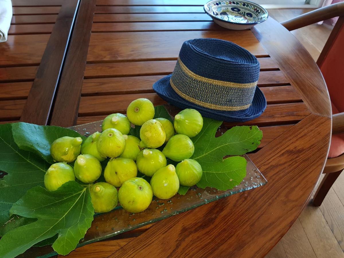 Gite L'Appart De Case Vanille Sari-Solenzara Luaran gambar